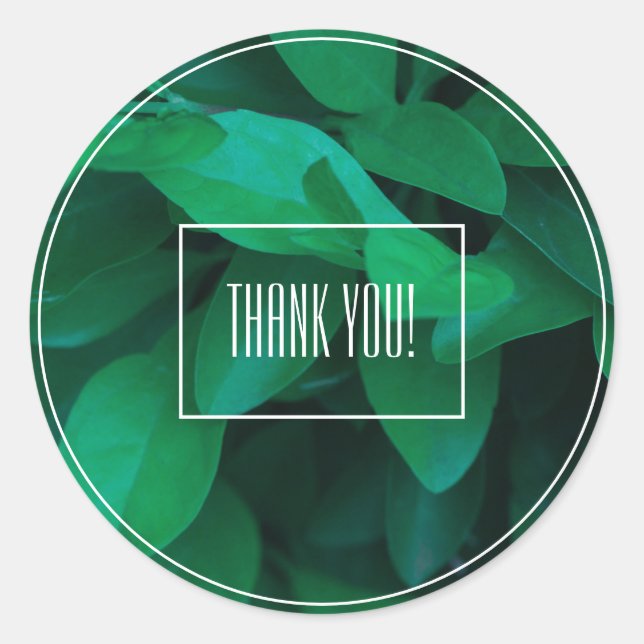 Pale Green Leaf Plant Thank You Sticker (Front)