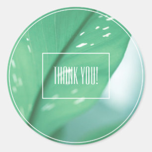 Pale Green Leaf Plant Thank You Sticker