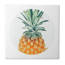 Pale Green Pastel Pineapple Organic Feel
