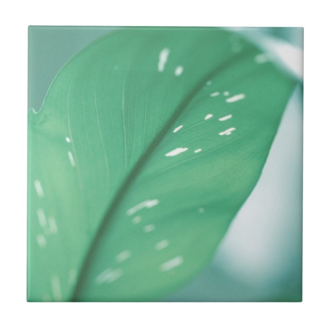 Pale Green Plant Leaves Nature Feel Tile (Front)
