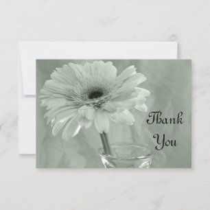 Pale Green Tinted Daisy Thank You Notes - Flat