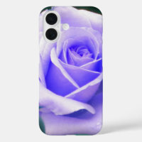 Pale Lavender Purple Rose