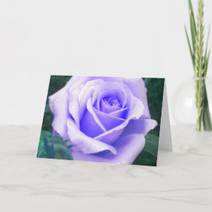 Pale Lavender Rose Birthday Card