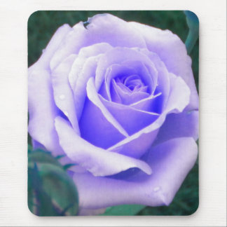 Pale Lavender Rose Mouse pad