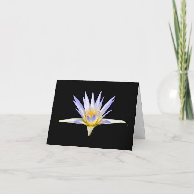 Pale Lavender Water Lily Blank Note Greeting Cards (Front)
