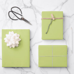 Pale Lime Green Spring And Summer Trending Color Wrapping Paper Sheet