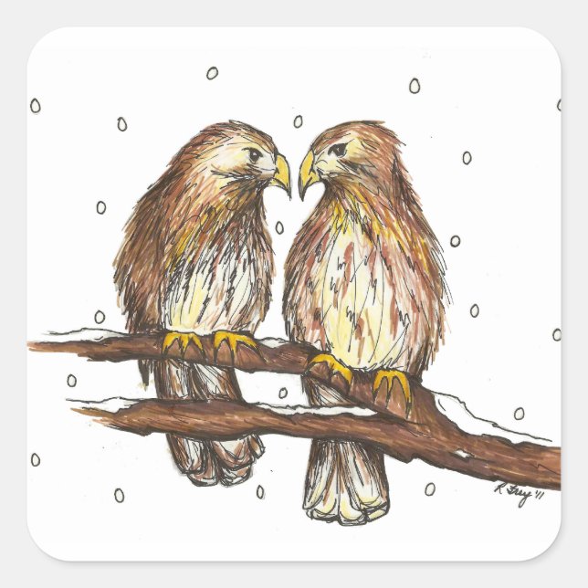 Pale Male Lola Central Park Red Tailed Hawk Bird Square Sticker (Front)