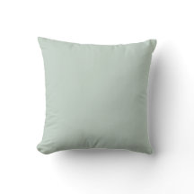 Pale Mint Green Solid Colour Trending Accent Shade