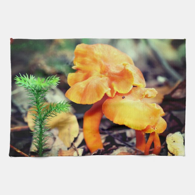 Pale Orange Wild Mushrooms Close Up Kitchen Towel (Horizontal)