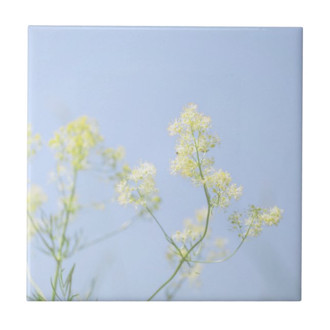 Pale Pastel Blue Sky Wild Flowers Meadow Tile (Front)