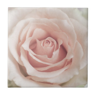 Pale Peach Antique Rose Background Customized Tile