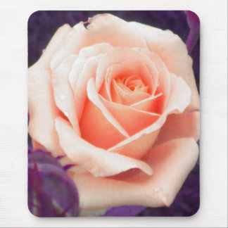 Pale Peach Rose Mouse pad