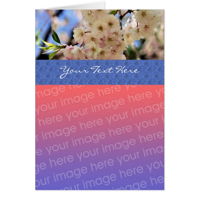 Pale Pink Blossoms Floral Photo Card (Front)