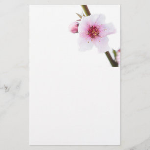 Pale pink flowers stationery