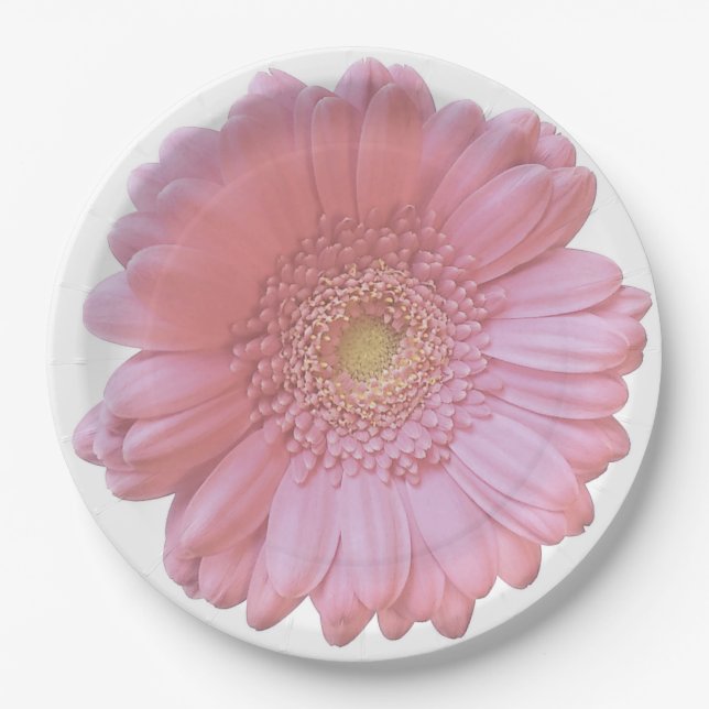 Pale pink gerbera daisy paper plate (Front)