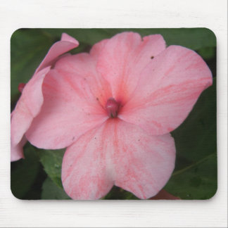 Pale Pink Impatiens Flower Mousepad