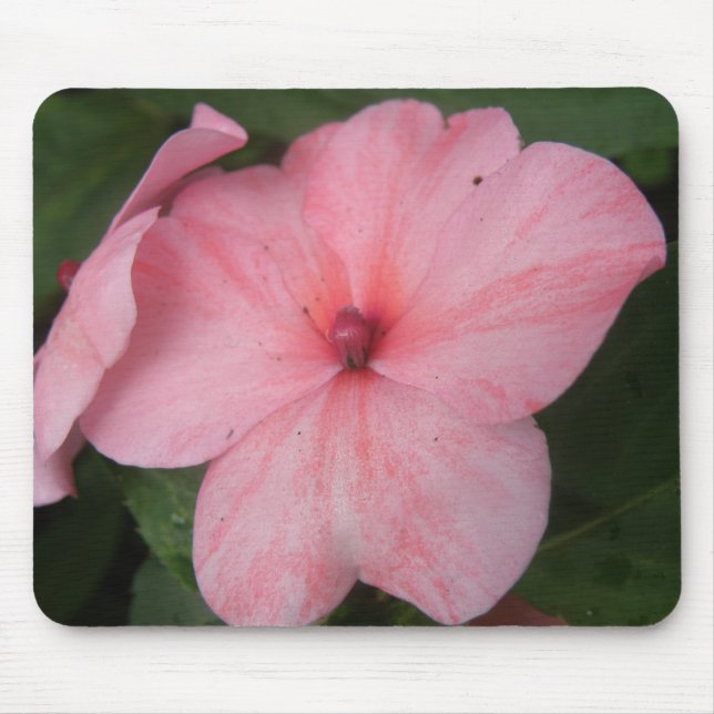 Pale Pink Impatiens Flower Mousepad (Front)