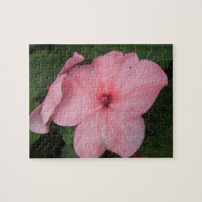 Pale Pink Impatiens Flower Puzzle (Horizontal)