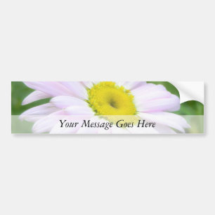 Pale Pink Painted Daisy Bumper Sticker