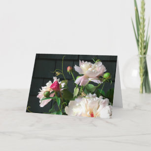 Pale Pink Peonies 2020 by Diane Heller Card