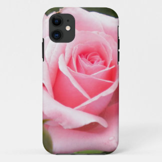 Pale Pink Rose iPhone 5 case