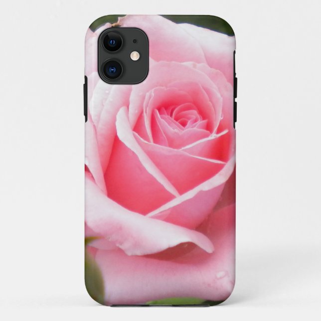 Pale Pink Rose iPhone 5 case (Back)