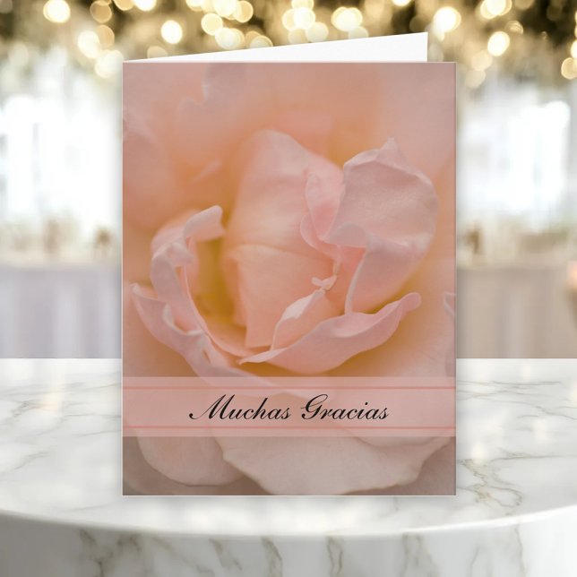 Pale Pink Rose Spanish Thank You Gracias (Creator Uploaded)