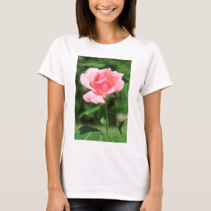 Pale pink rose T-Shirt
