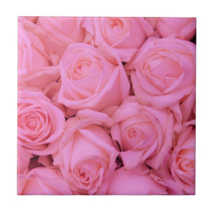 Pale pink roses tile