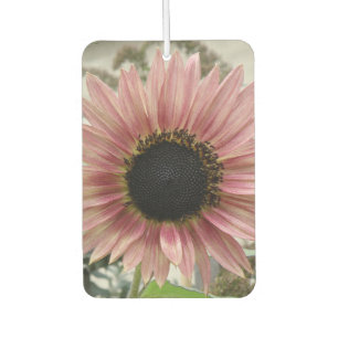 Pale Pink Sunflower Air Freshener