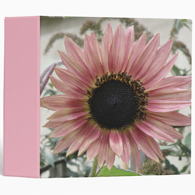 Pale Pink Sunflower Binder (Front/Spine)