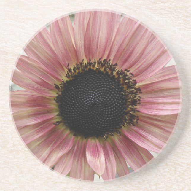 Pale Pink Sunflower Coaster (Front)