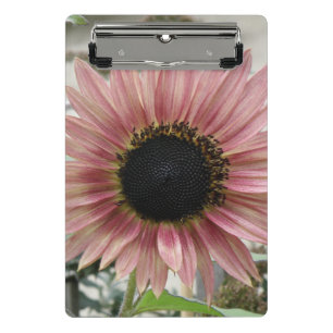 Pale Pink Sunflower Mini Clipboard