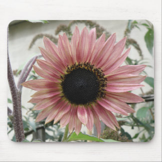 Pale Pink Sunflower Mousepad