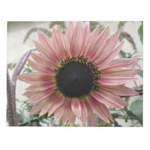 Pale Pink Sunflower Notepad