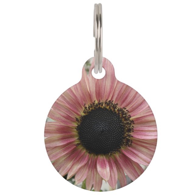 Pale Pink Sunflower Personalized Pet Tag (Front)