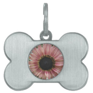 Pale Pink Sunflower Pet ID Tag