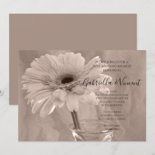 Pale Pink Tinted Daisy Post Wedding Brunch Invitation
