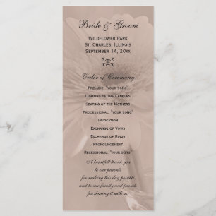 Pale Pink Tinted Daisy Wedding Program