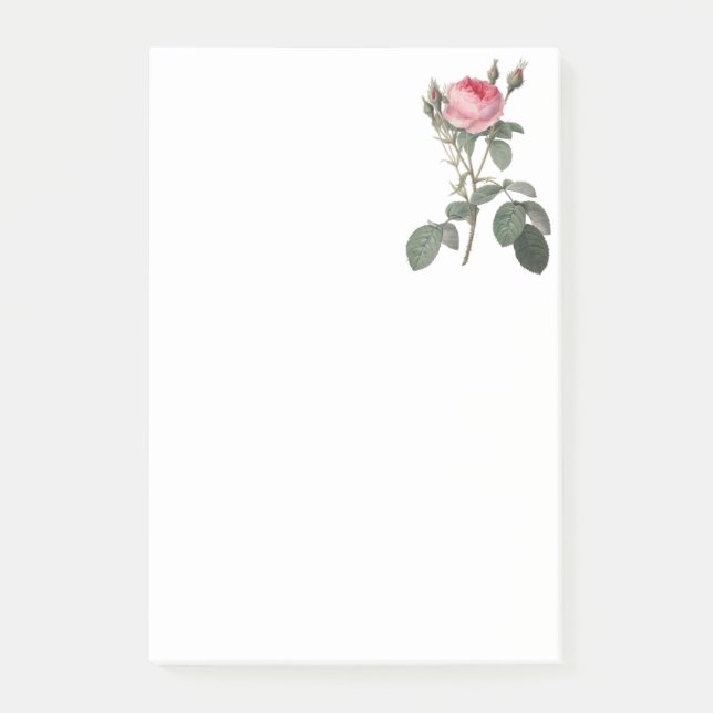 Pale pink vintage roses painting post-it notes (Front)