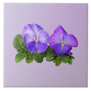 Pale Purple and White Pansy Couple Tile