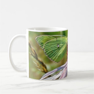 Pale Purple Coneflower  Coffee Mug
