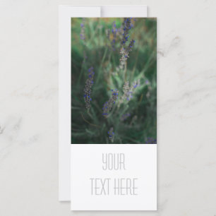 Pale Purple Lavender Add Your Text Flat Card