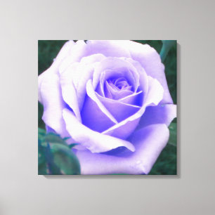 Pale Purple Rose Wrapped Canvas Print