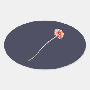 Pale Red Gerbera Flower Oval Sticker