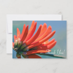 Pale Red Pink Erythrina FlowerThank You Flat Card