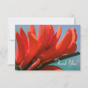 Pale Red Pink Erythrina FlowerThank You Flat Card