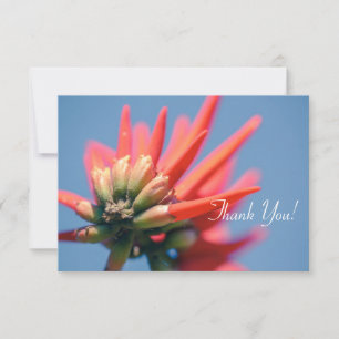 Pale Red Pink Erythrina FlowerThank You Flat Card