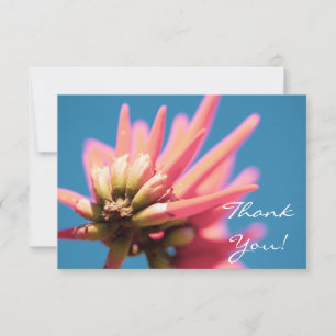 Pale Red Pink Erythrina FlowerThank You Flat Card