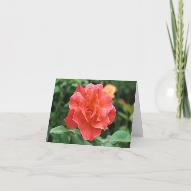 Pale Red Rose.. Card (Front)